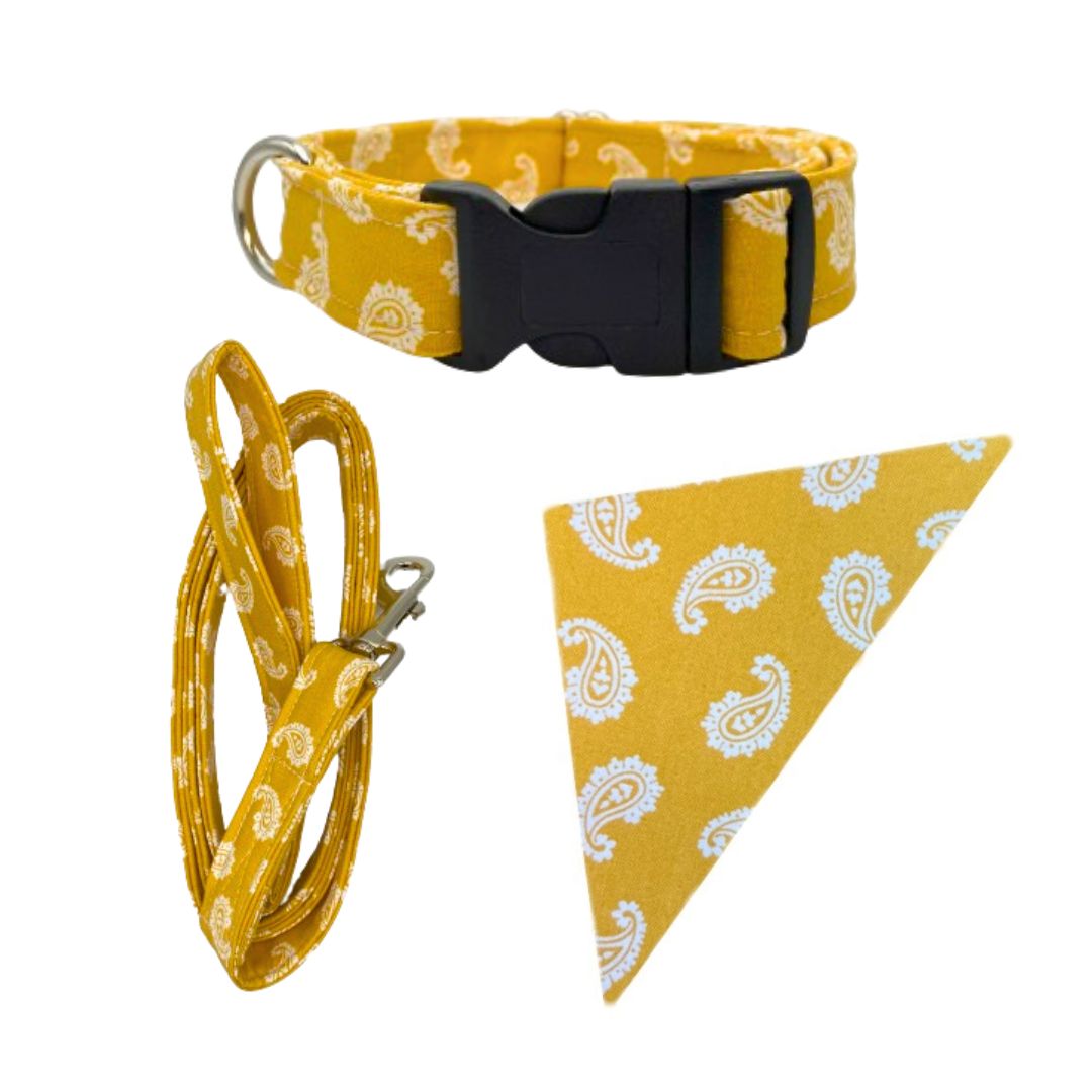 Spring Bandana Set