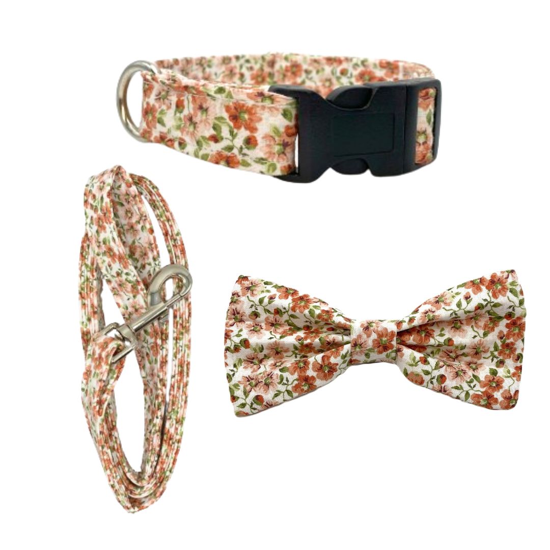 Spring Bow Tie Set