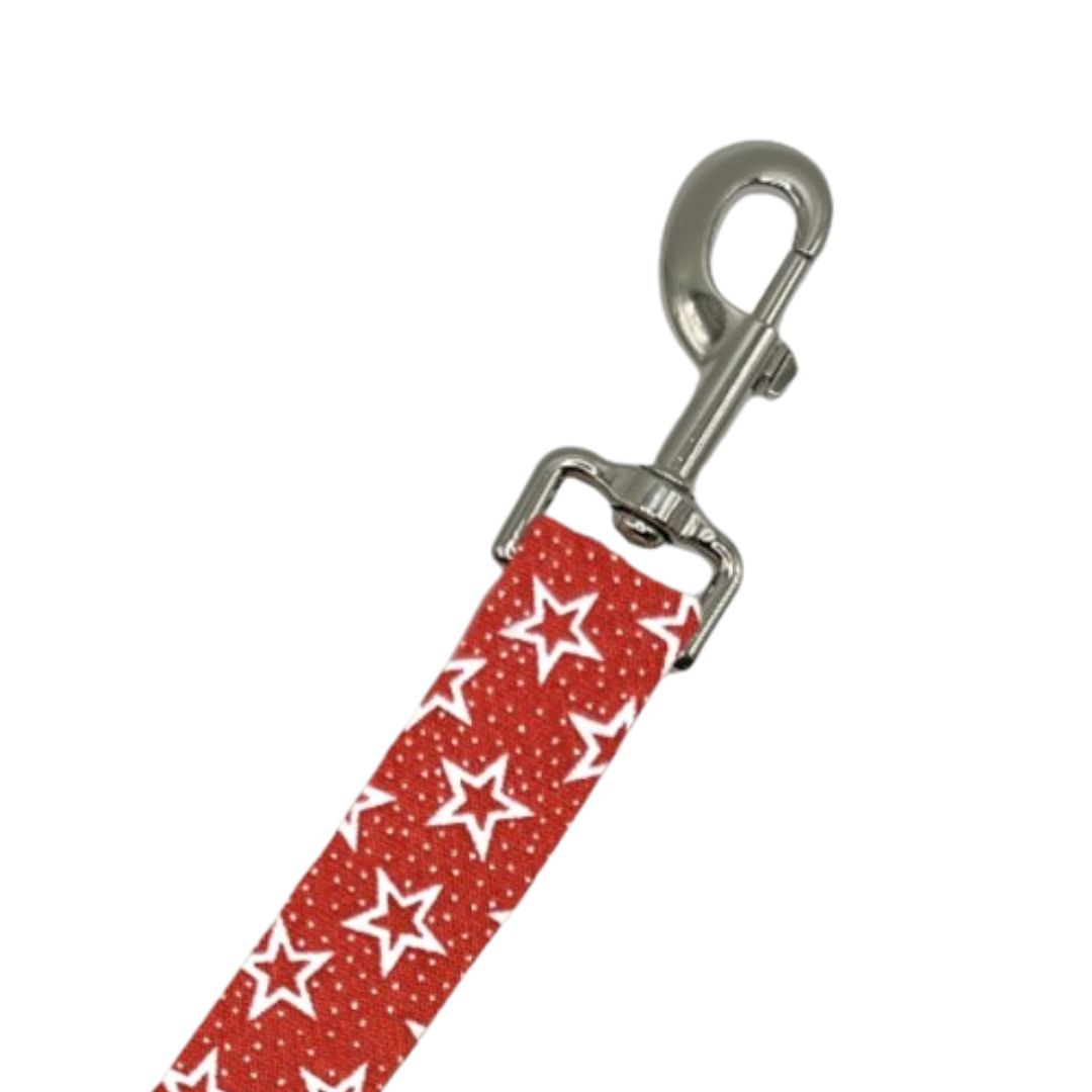 4th of July Leashes