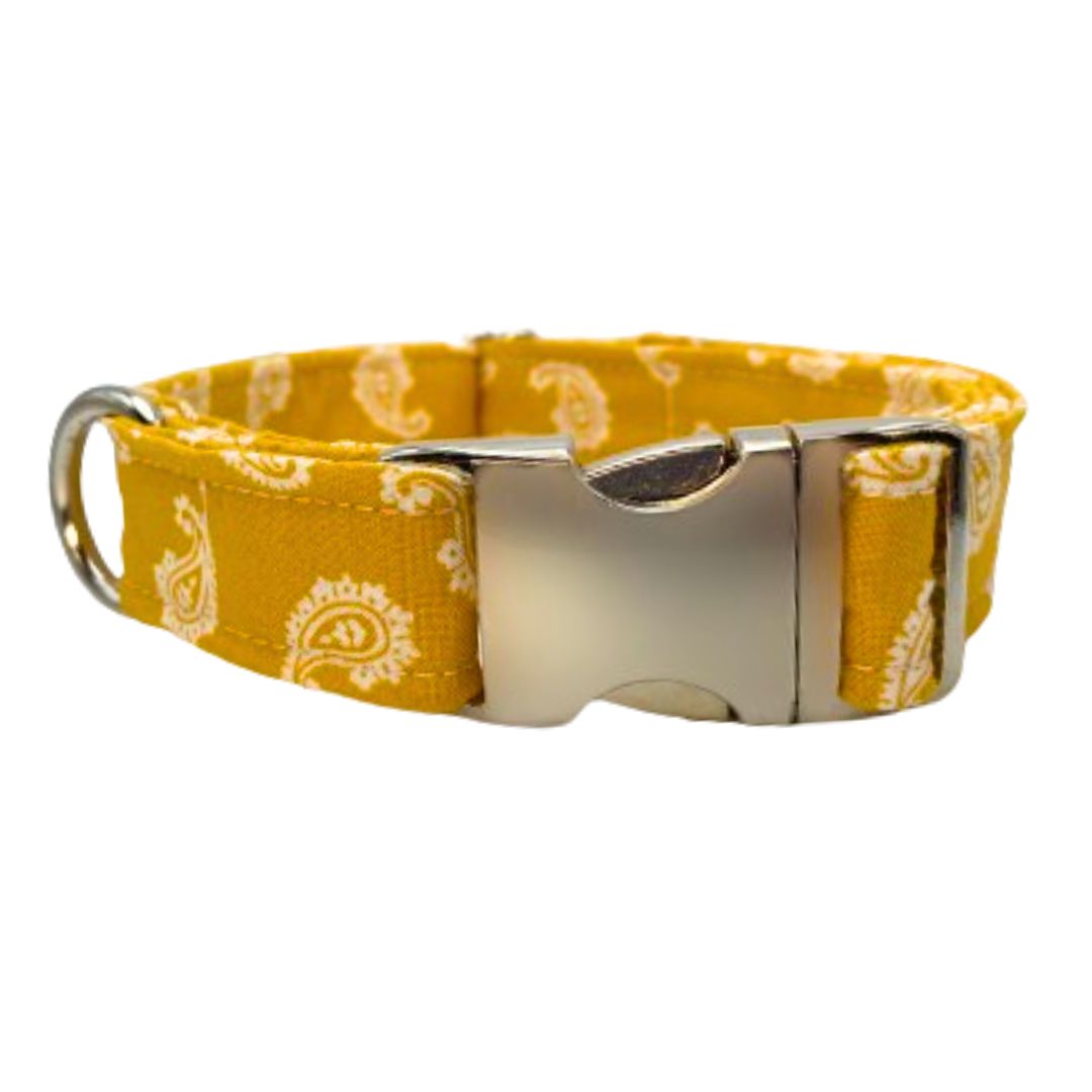 Golden Bandana Dog Collar