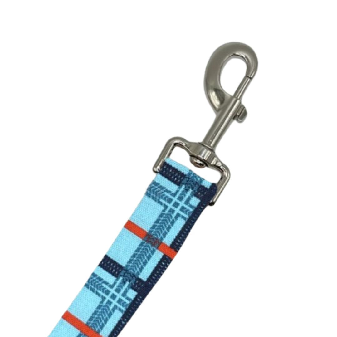 4th of July Leashes
