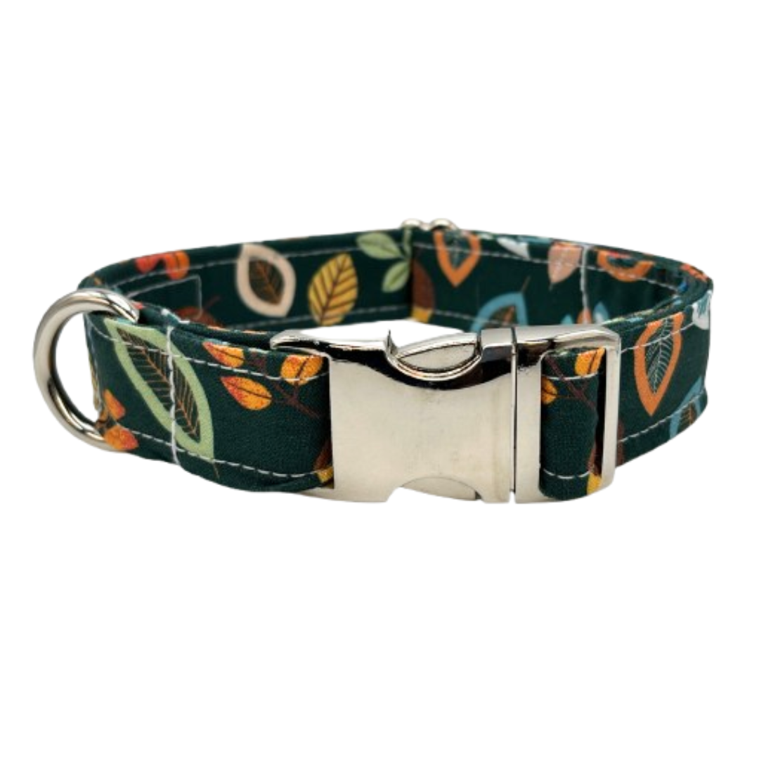 Windy Day Dog Collar