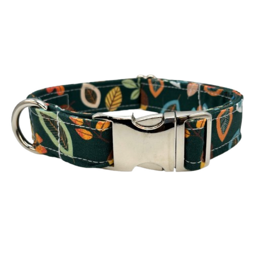 Windy Day Dog Collar
