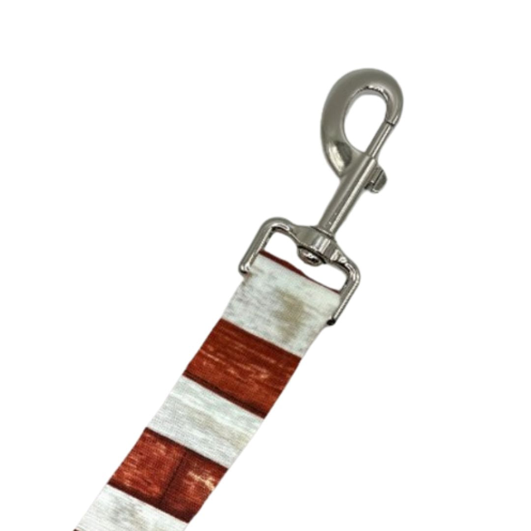 4th of July Leashes