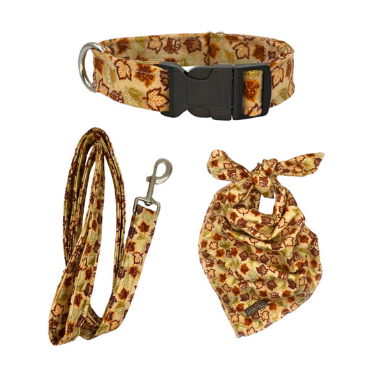 Fall Bandana Set 2024
