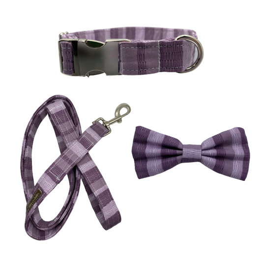 Fall Bow Tie Set