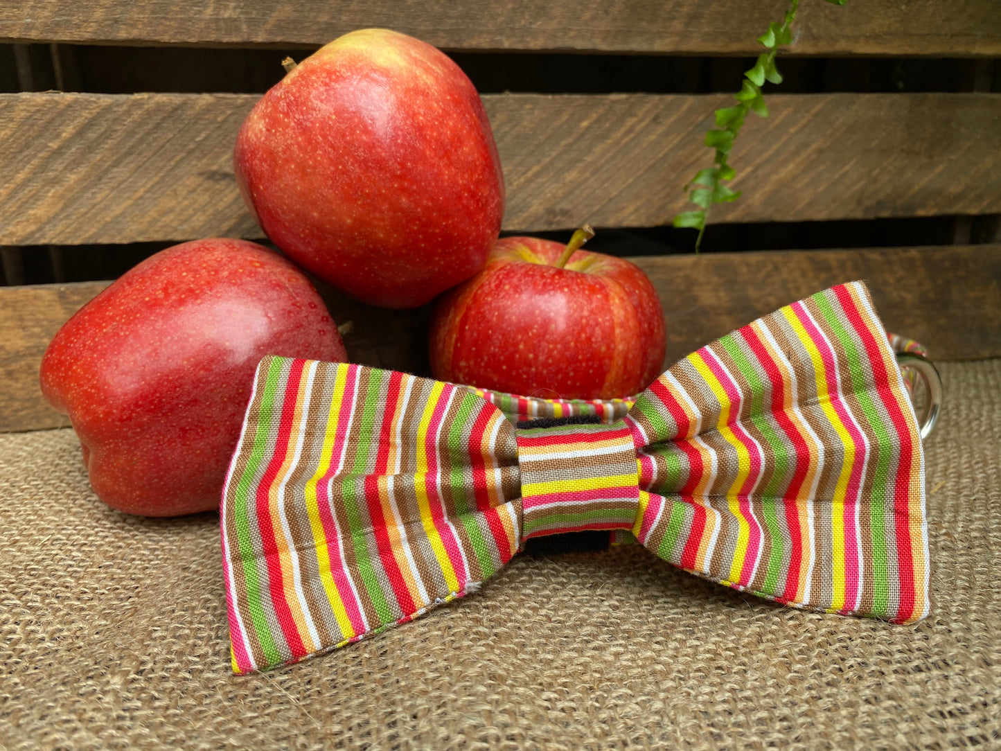 Candy Stripes Interchangeable Bow Ties