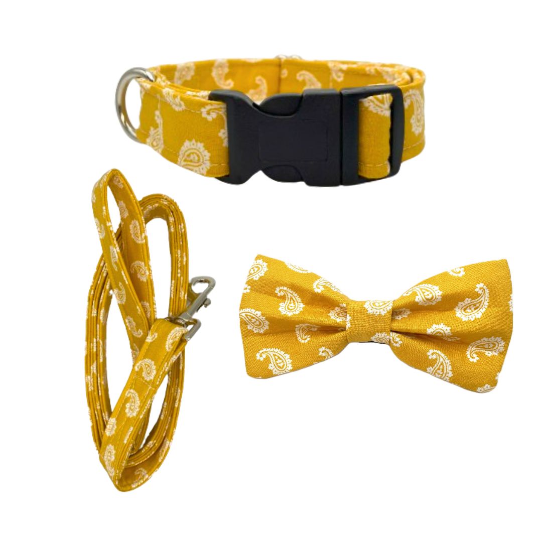 Spring Bow Tie Set