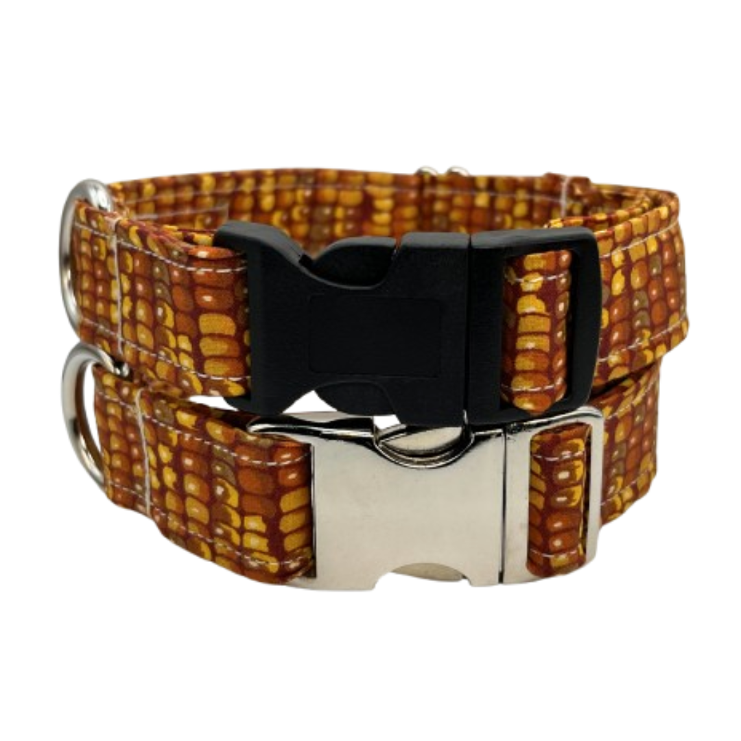 Indian Corn Dog Collar