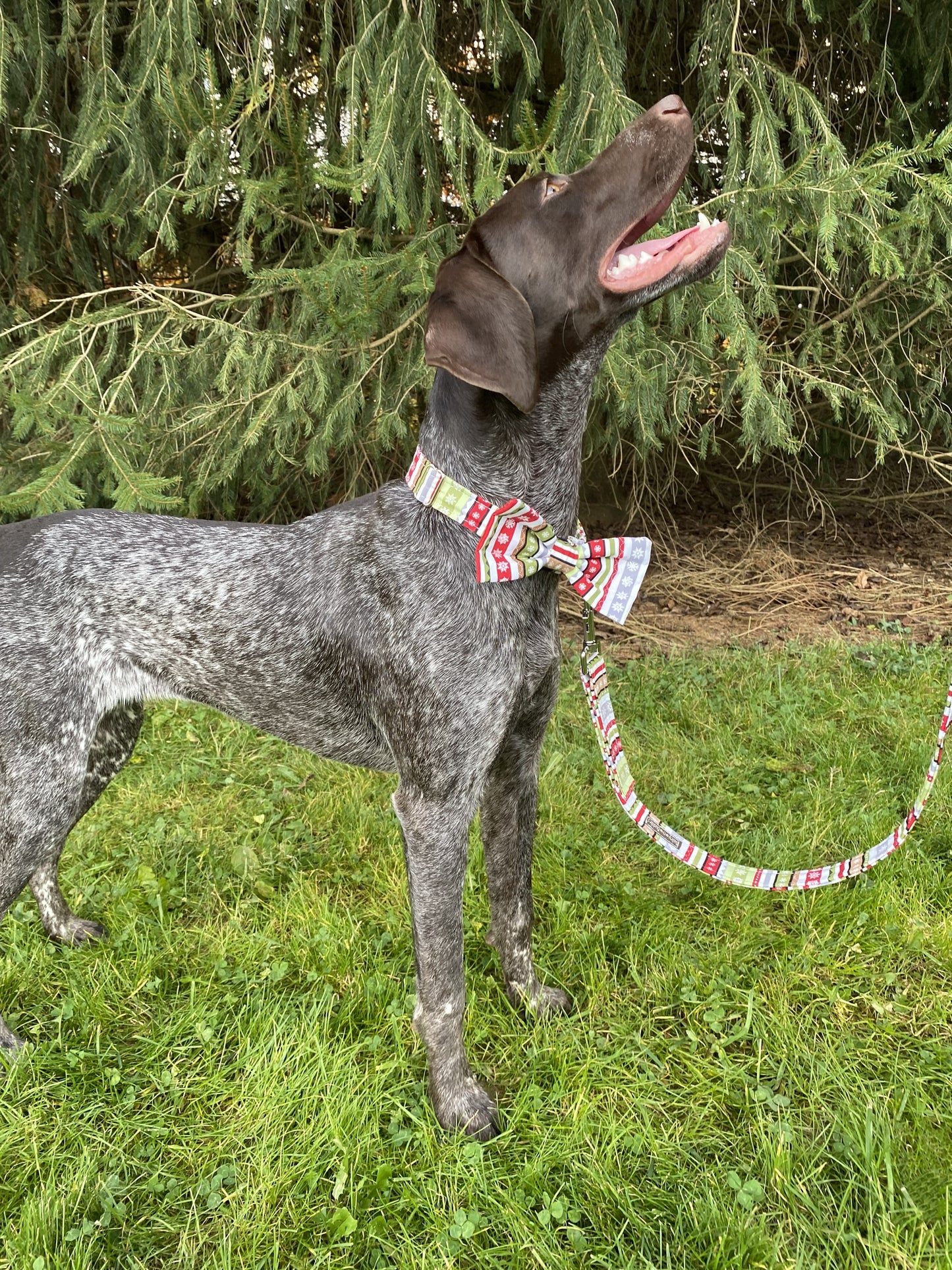 Dashing Thru the Snow Interchangeable Bow Tie
