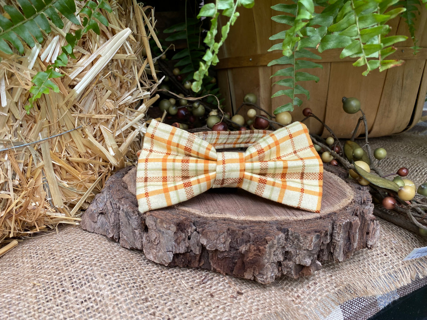 Autumn Acre Woods Interchangeable Bow Tie