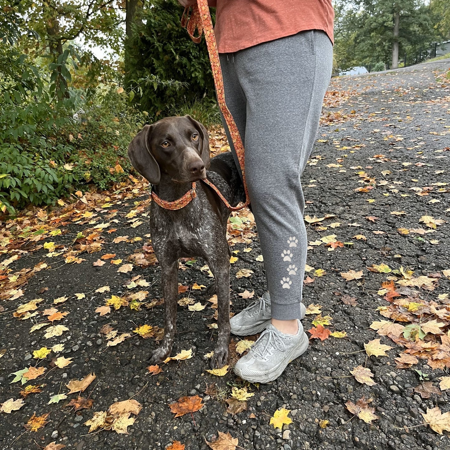 Women's Embroidered Joggers