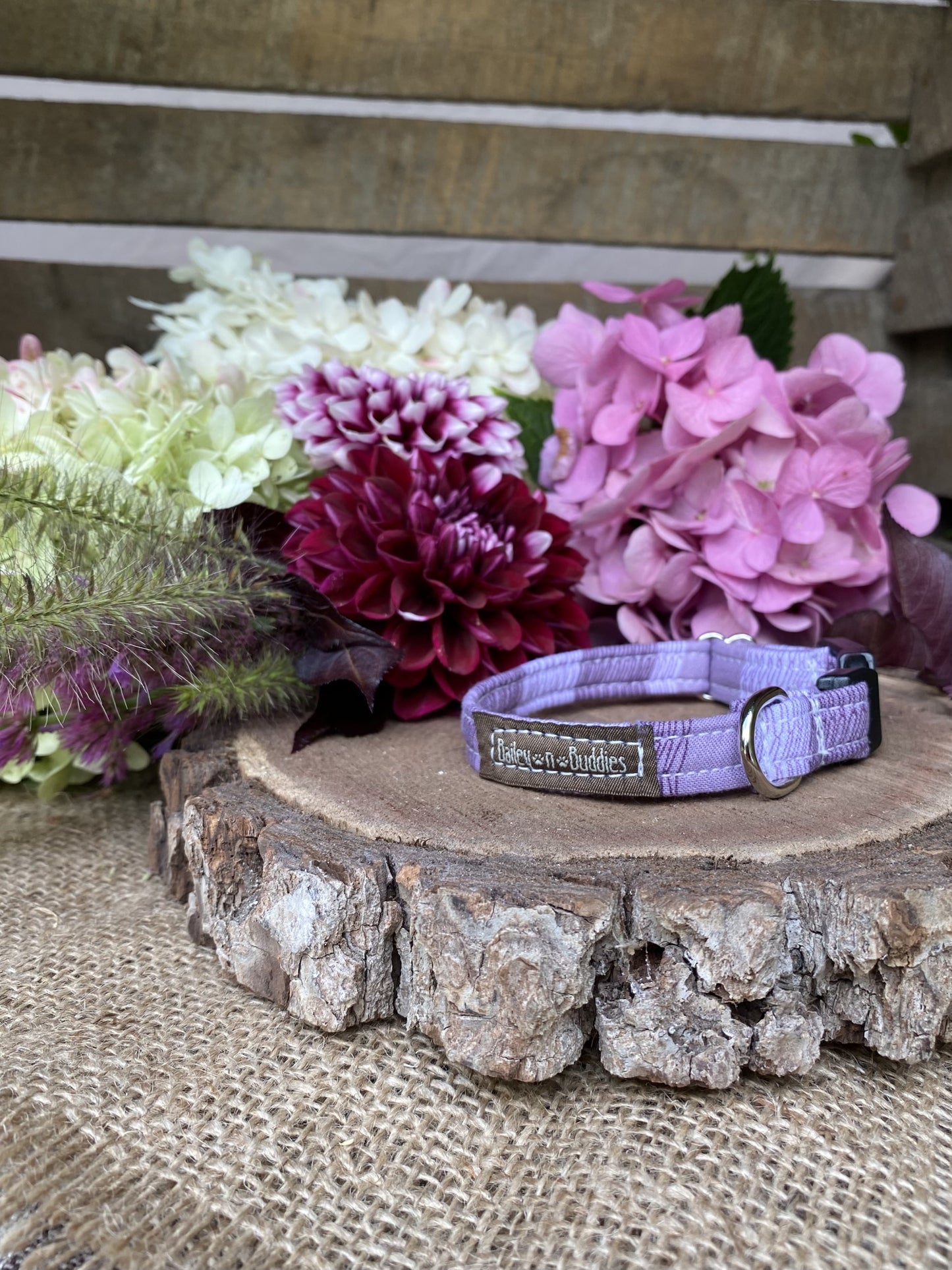 Hazy Purple Dog Collar