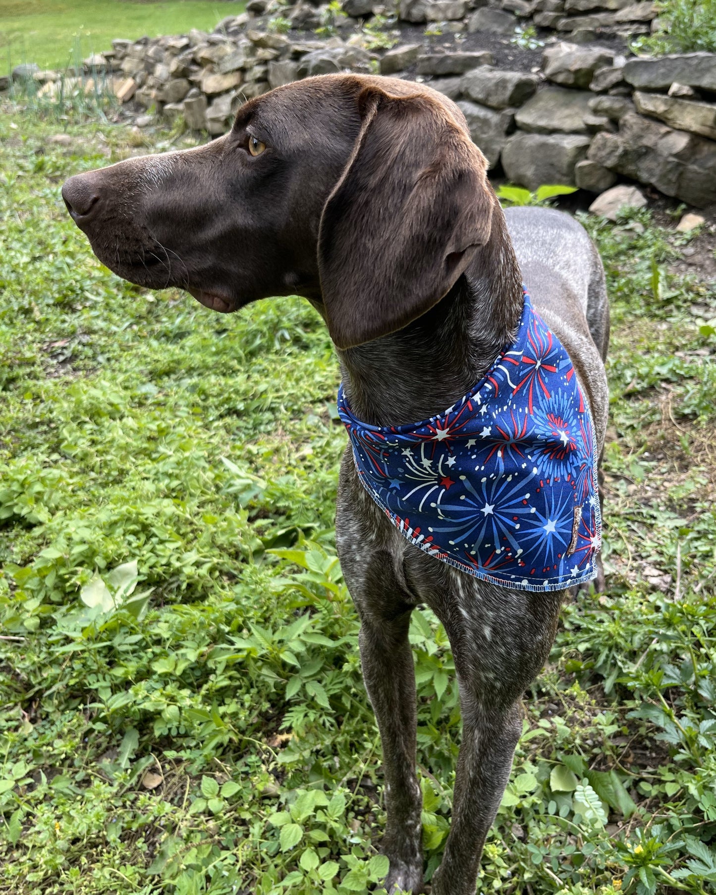 4th of July Bandanas