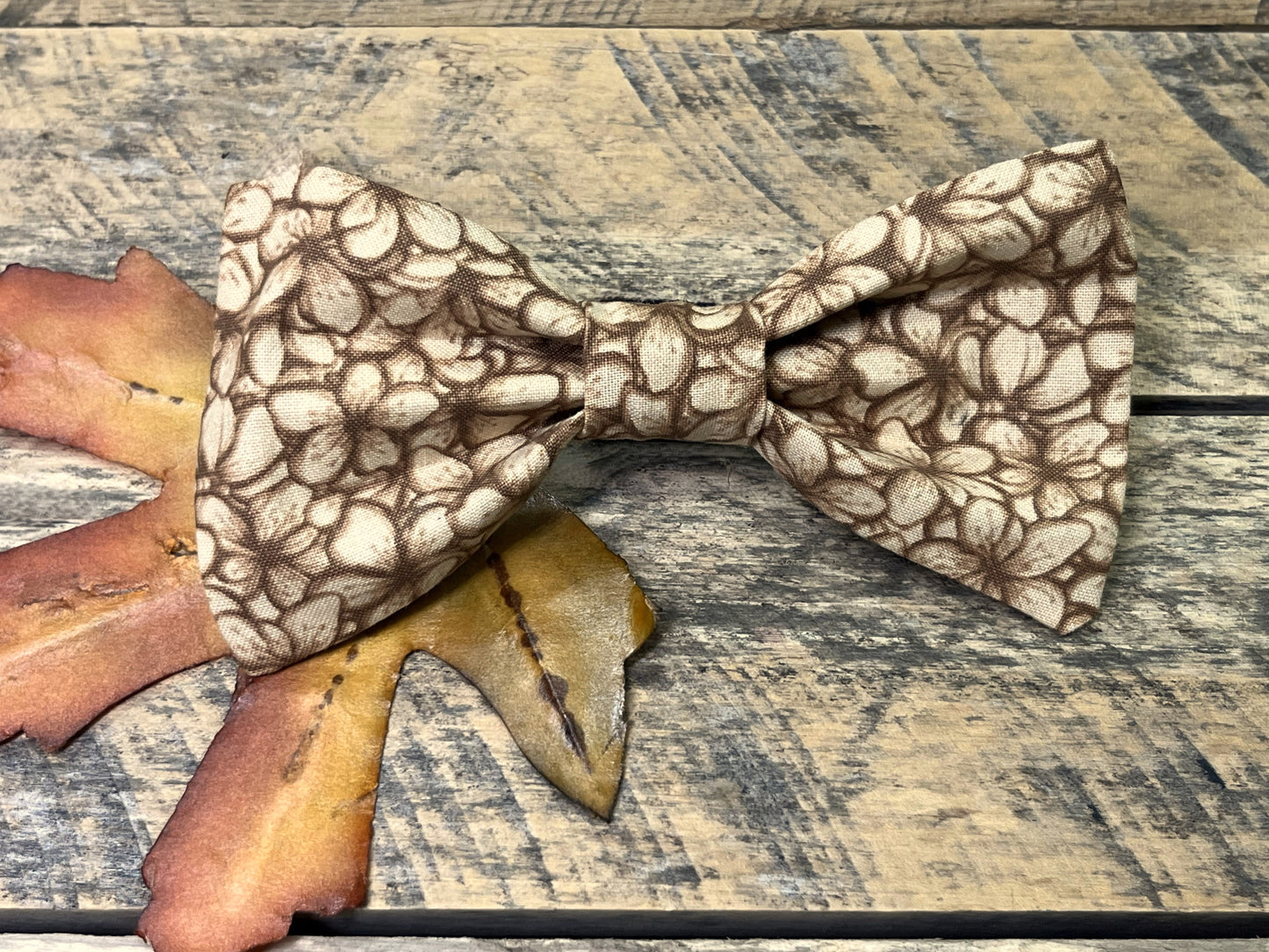 Latte Blooms Interchangeable Bow Tie