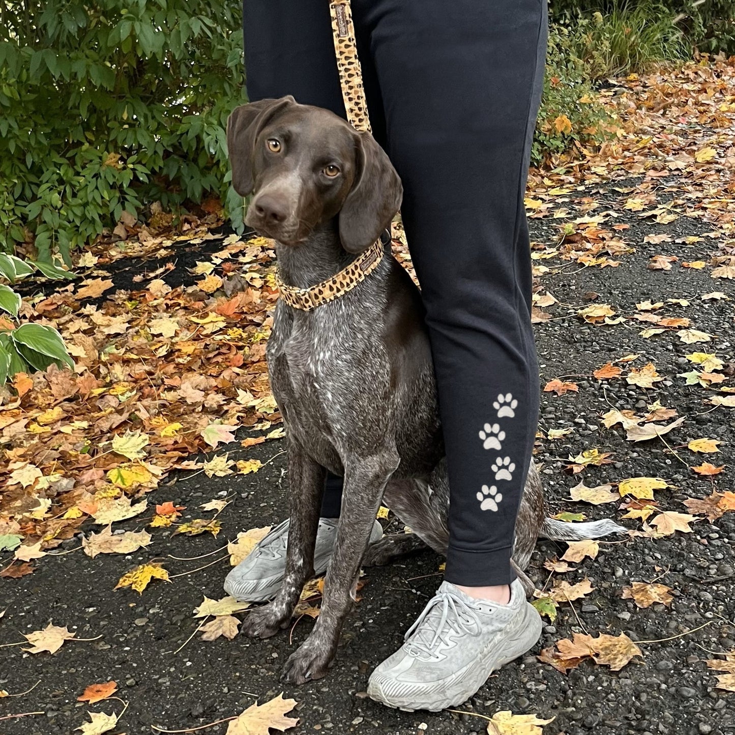Women's Embroidered Joggers