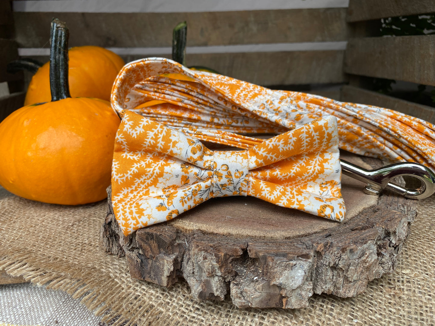 Fall Bow Tie Set