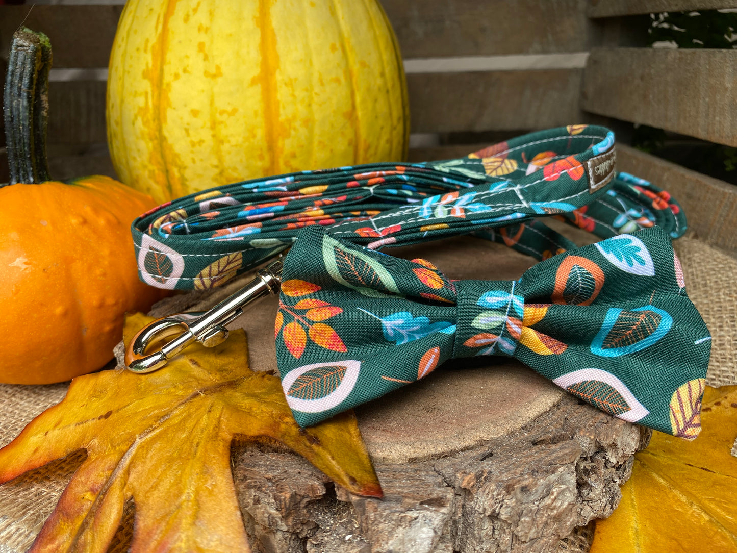 Fall Bow Tie Set