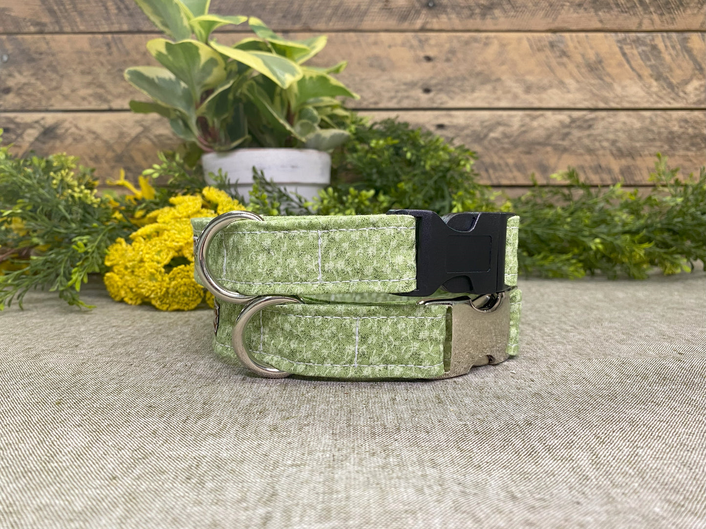 Grassland Dog Collar