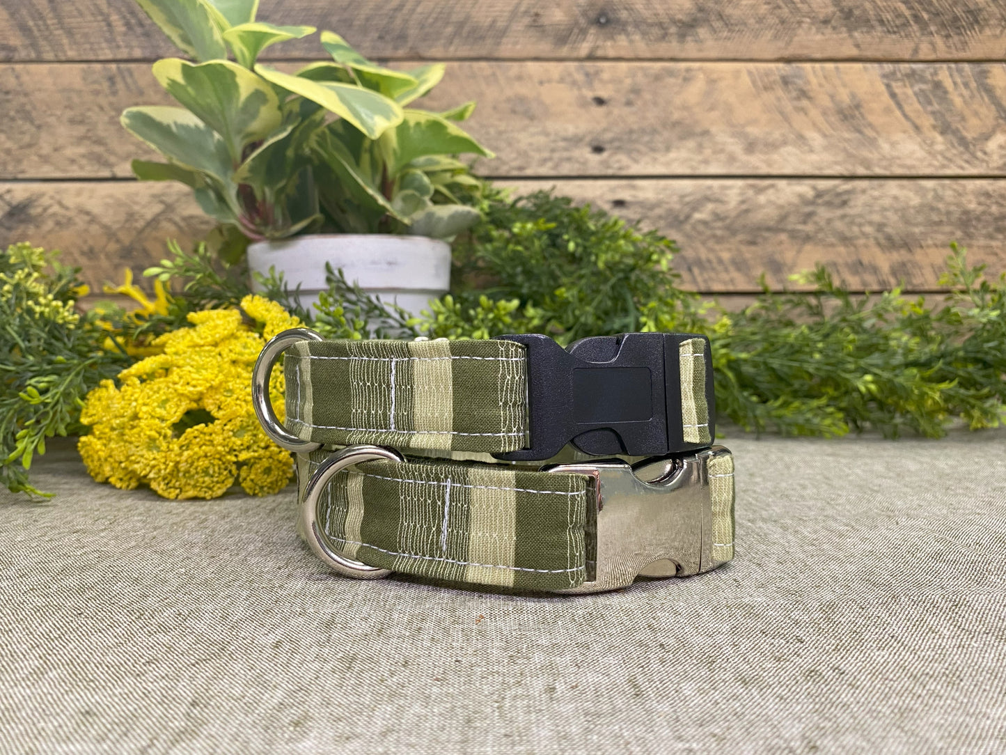 Field of Greens Dog Collar