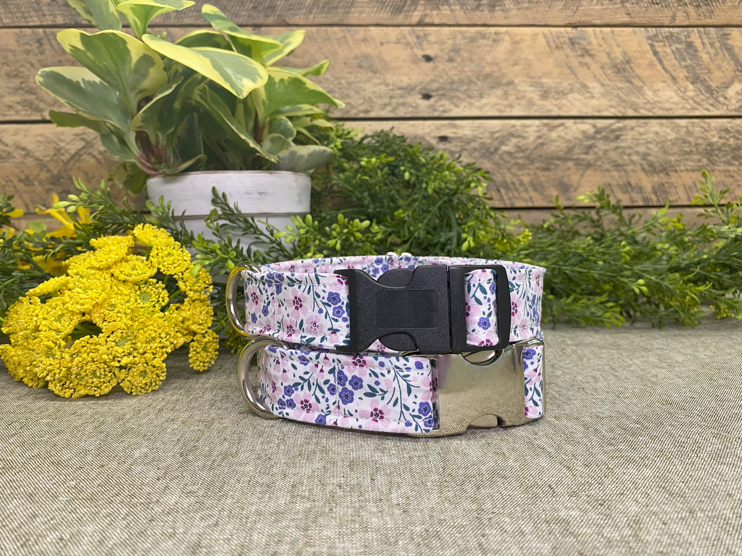 Violet & Friends Dog Collar