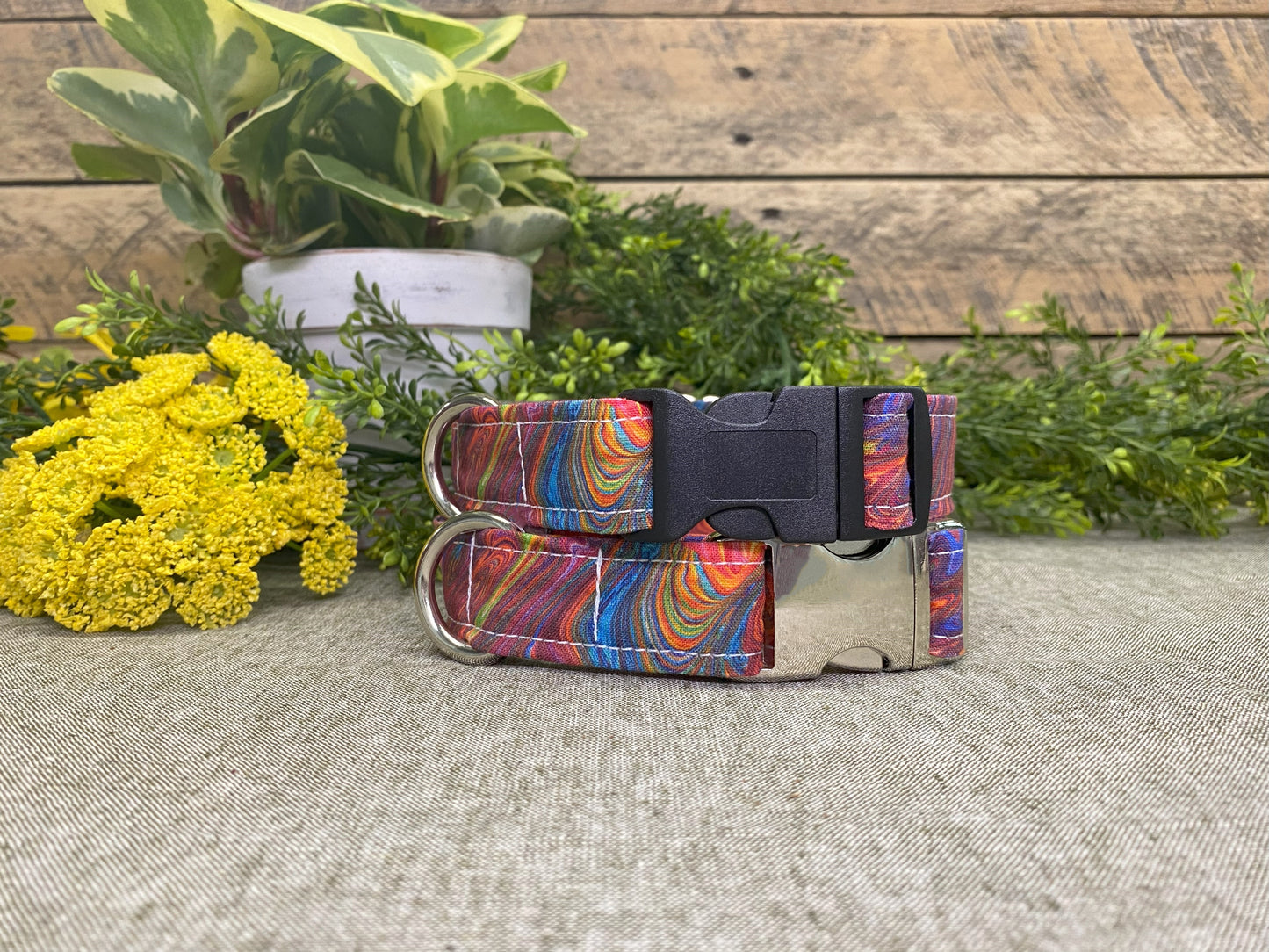 Totally Groovy Dog Collar