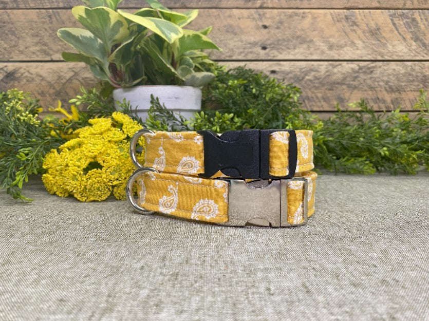 Golden Bandana Dog Collar