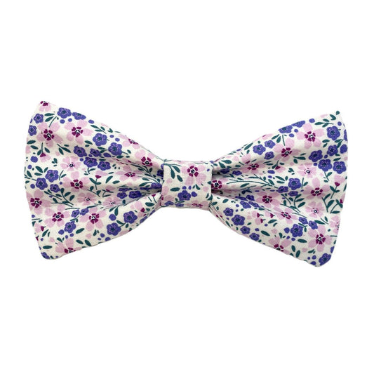 Violet & Friends Interchangeable Bow Tie