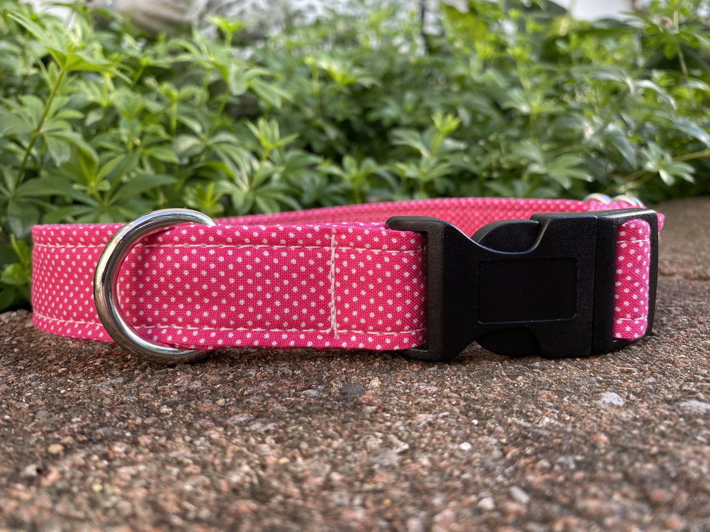 Tea Party Dog Collar