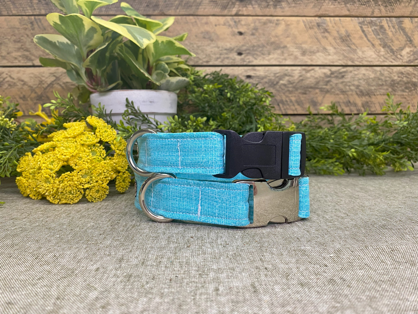 Tropical Water Dog Collar