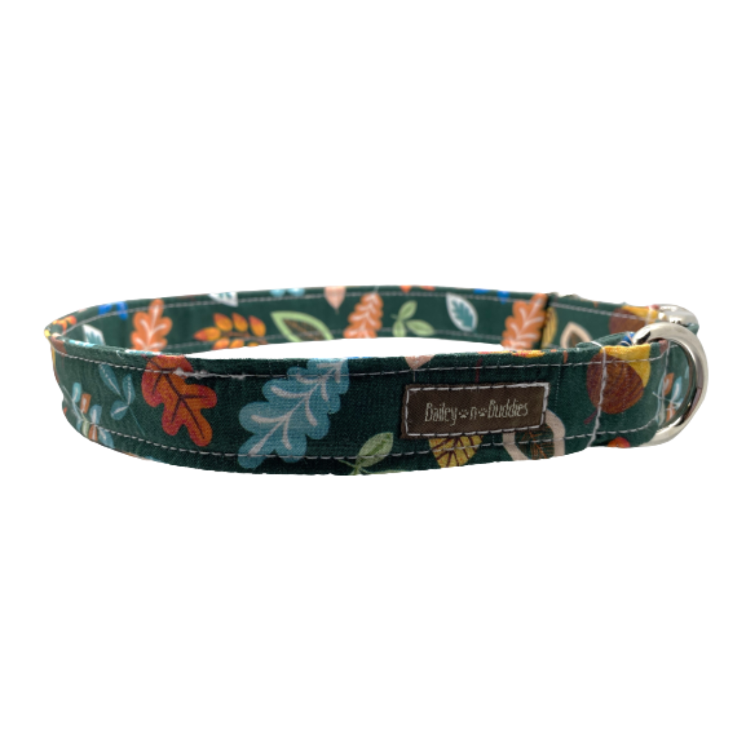 Windy Day Dog Collar