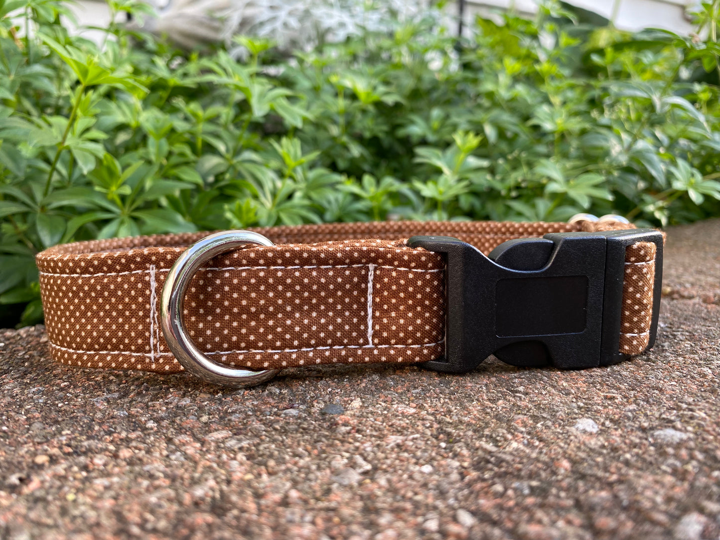 Mocha Dots Dog Collar
