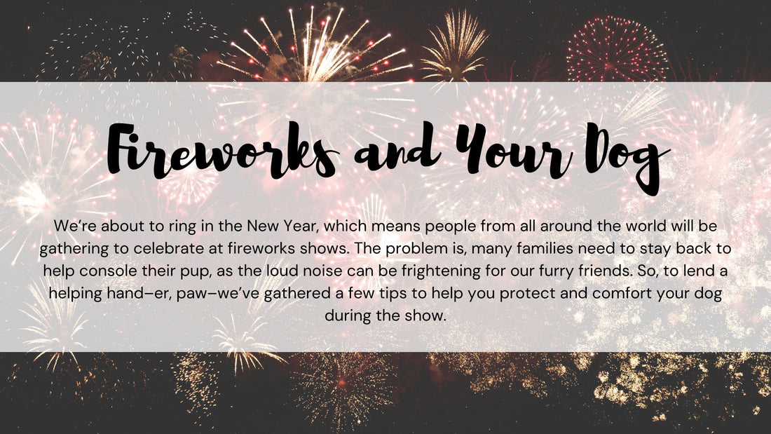 Fireworks and Your Dog