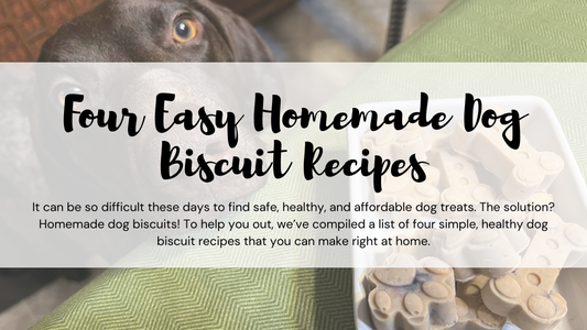 Four Easy Homemade Dog Biscuit Recipes