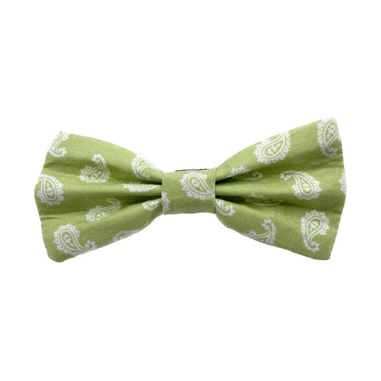 Green Apple Interchangeable Bow Ties