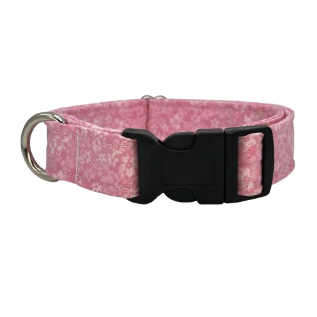 Confetti Floral Dog Collar