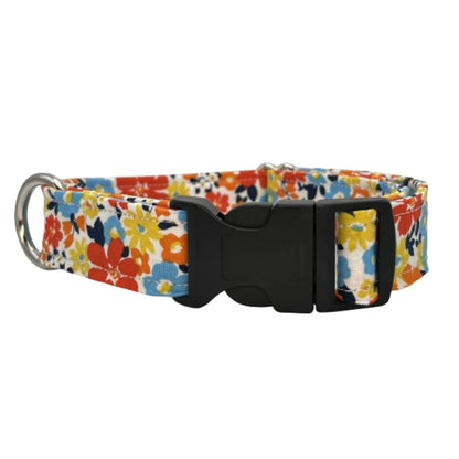 Collarful Dog Collar