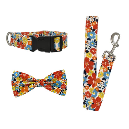 Late Summer Bow Tie Set