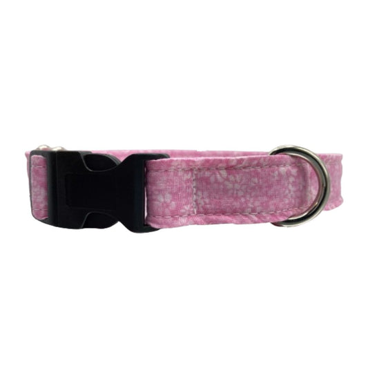 Confetti Floral Dog Collar