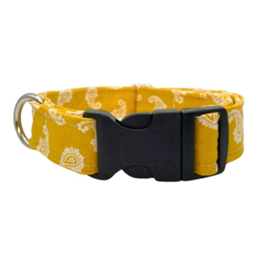 Golden Bandana Dog Collar