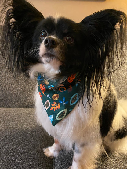 Windy Day Bandana