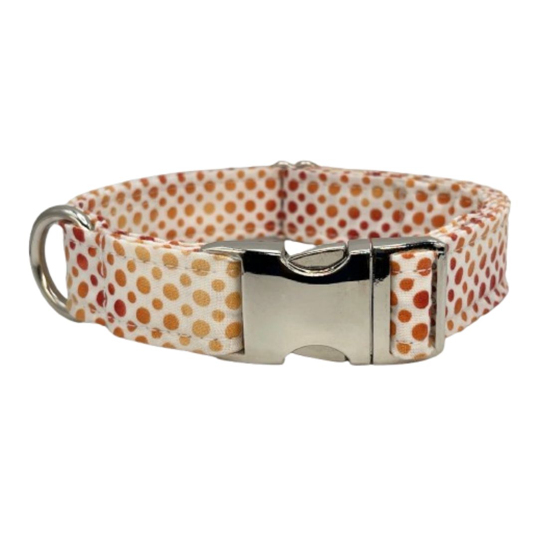 Fall Waters Dog Collar