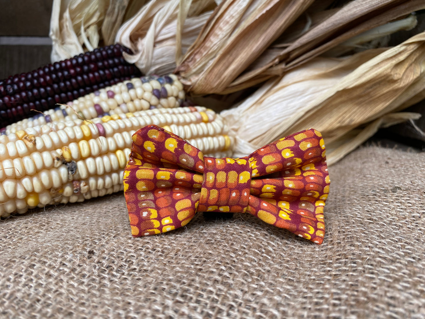 Indian Corn Interchangeable Bow Tie