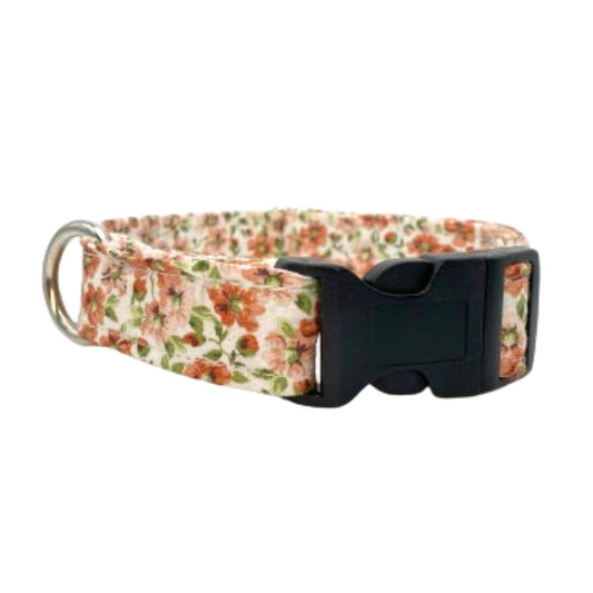 Orange Blossoms Dog Collar