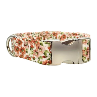 Orange Blossoms Dog Collar