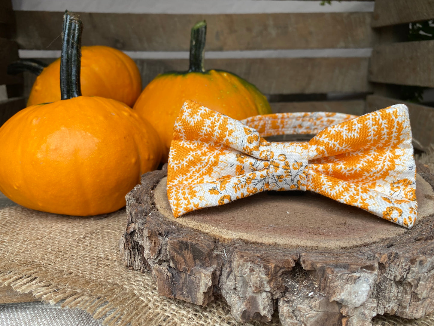 Pumpkin Patch Interchangeable Bow Tie