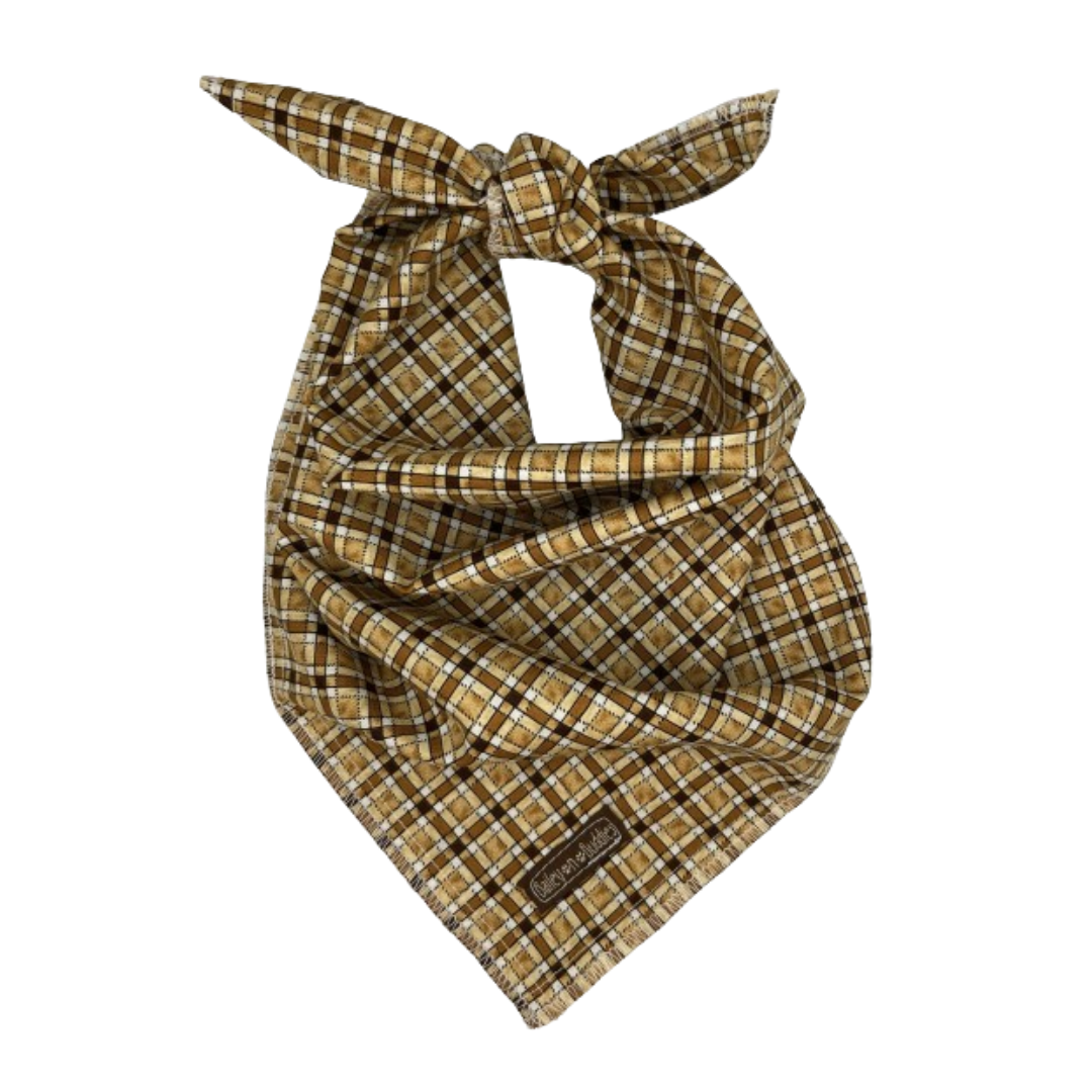 Teddy Bear Plaid Bandana