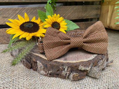 Mocha Dots Interchangeable Bow Ties