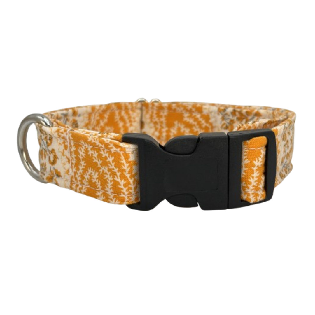 Pumpkin Patch Dog Collar