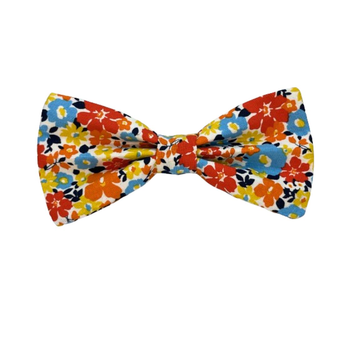 Collarful Interchangeable Bow Tie